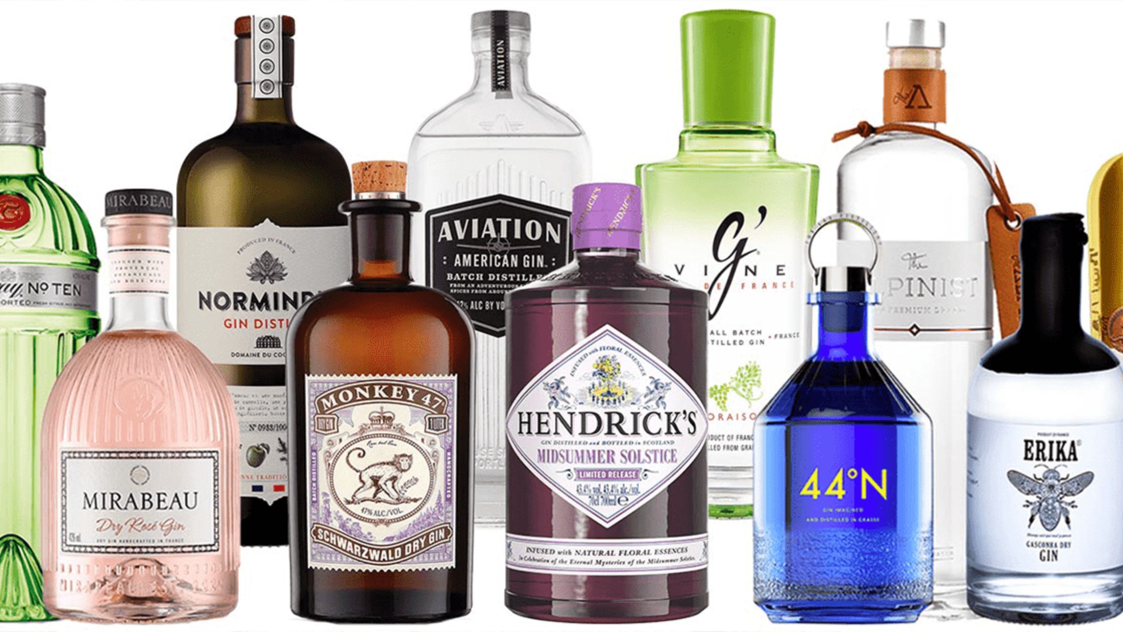 Types of Gin 